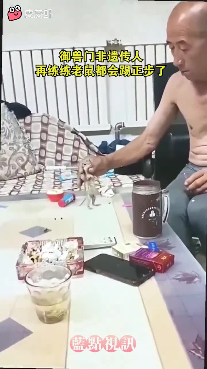 失傳的御獸宗？