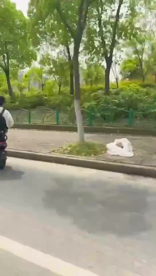 這個怕是有點痛的哦