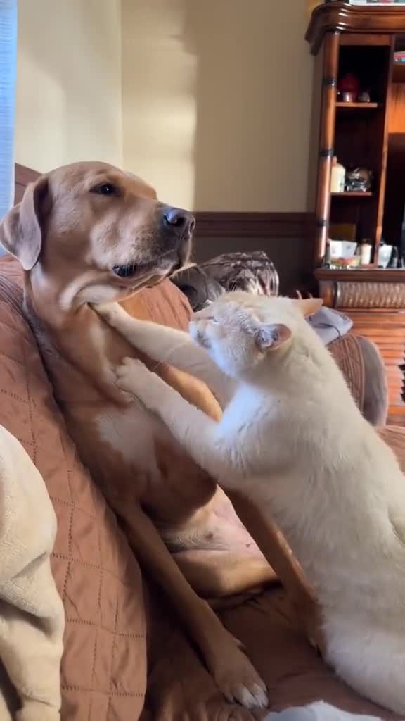 師傅!對!就是哪裡!